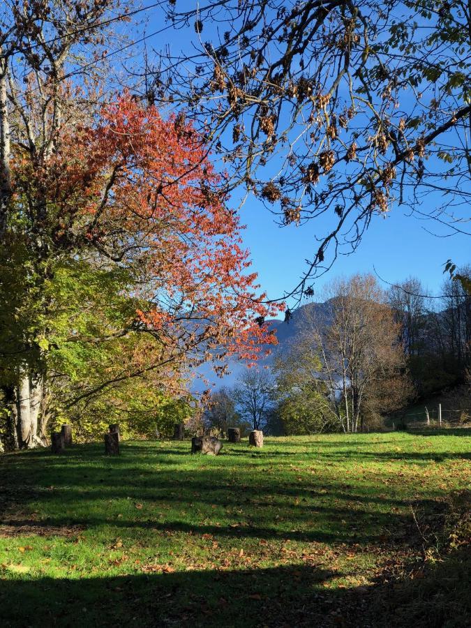 Chapamama Bed & Breakfast Aillon-le-Vieux Eksteriør bilde